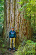 Pseudotsuga menziesii -  Canada (foto: Kristian Chalupka)